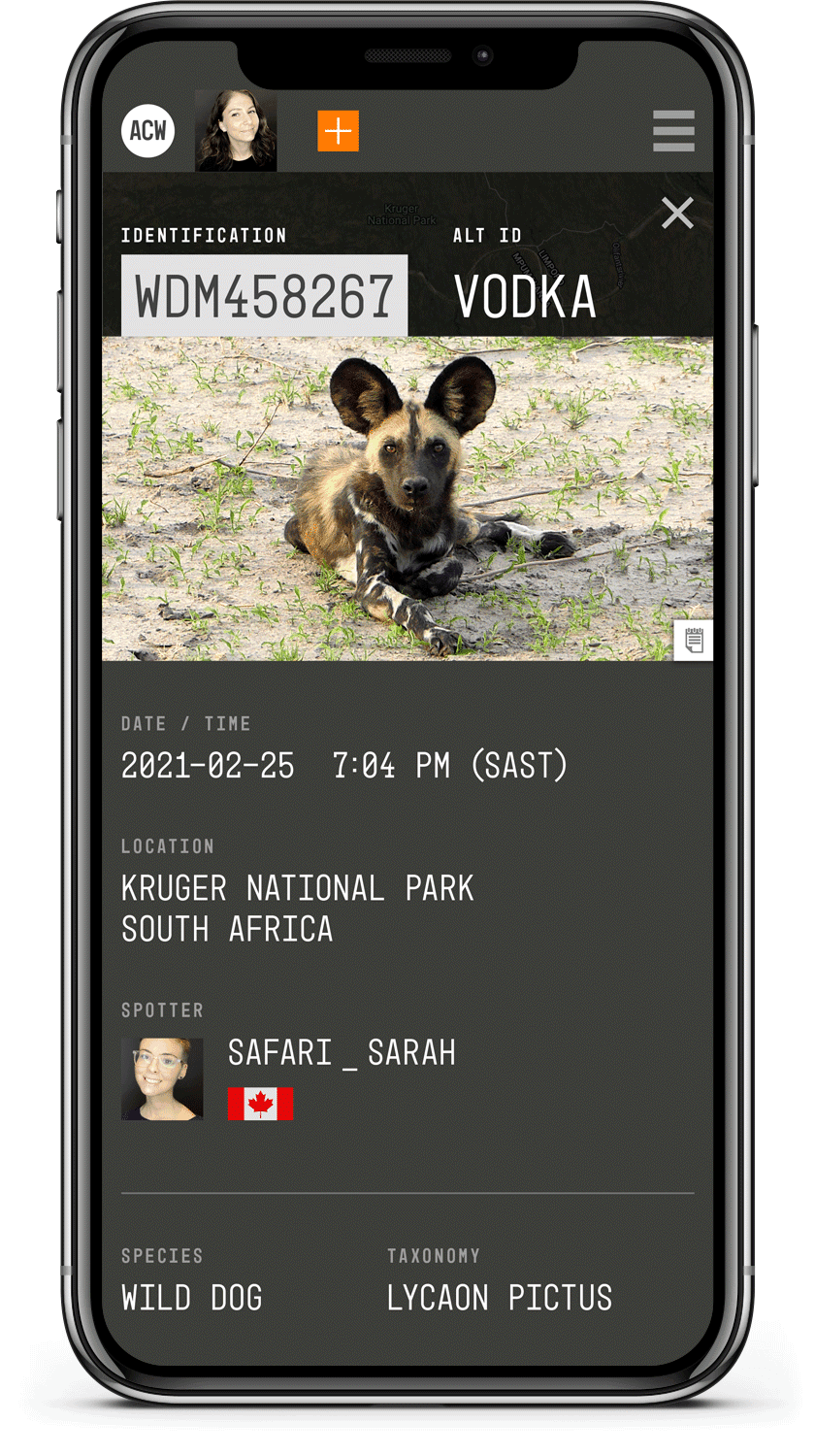 ACW product screenshot of wild dog profile on mobile phone